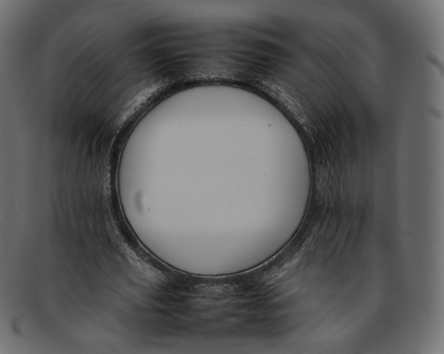 X0000092060629200710101034