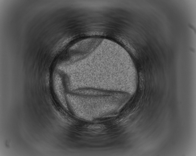 X0000092060631200710101034