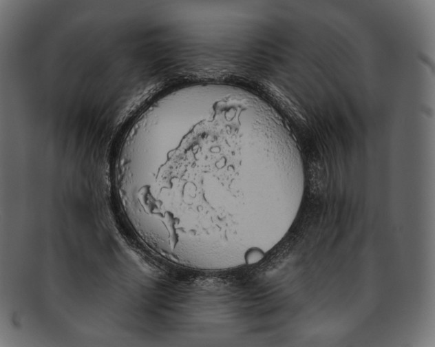 X0000092060634200710101034