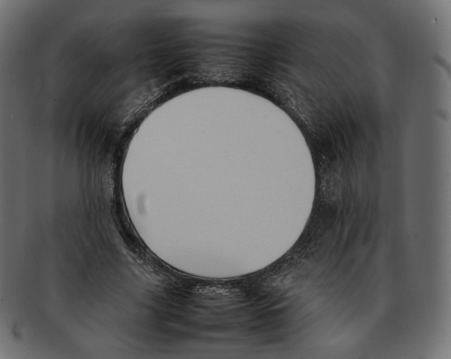 X0000092060635200710101034