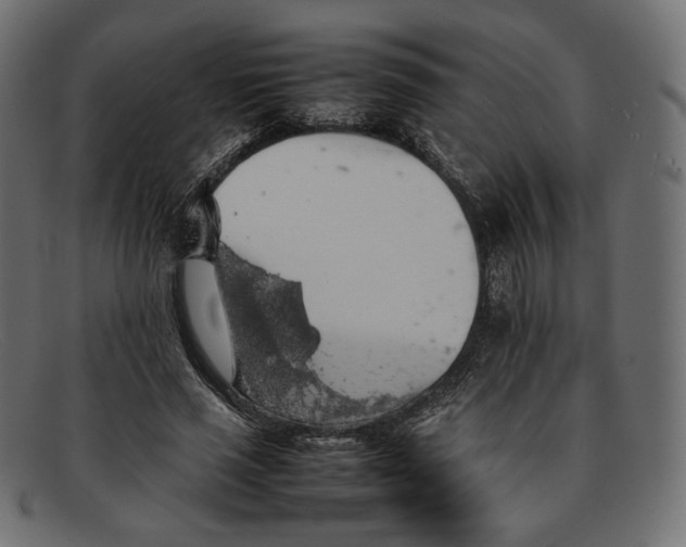 X0000092060637200710101034