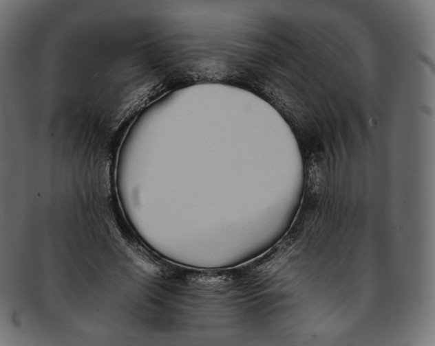 X0000092060638200710101034