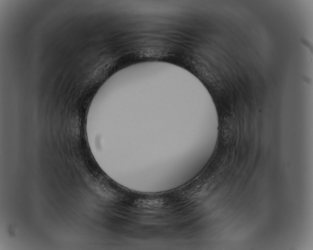 X0000092060639200710101034