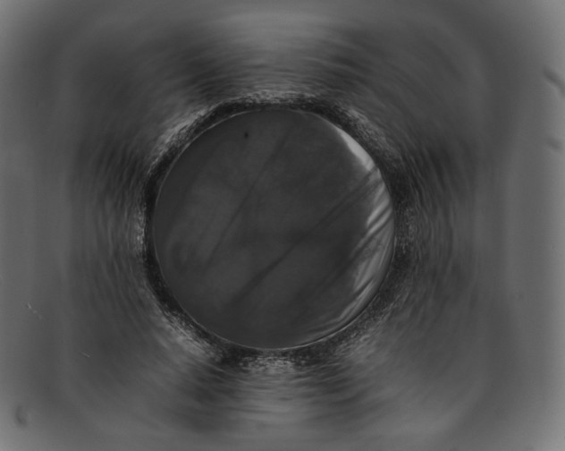 X0000092060640200710101034