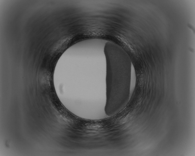 X0000092060643200710101034