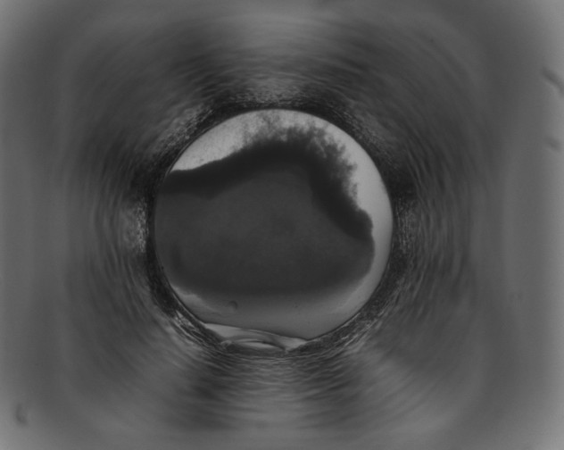 X0000092060644200710101034