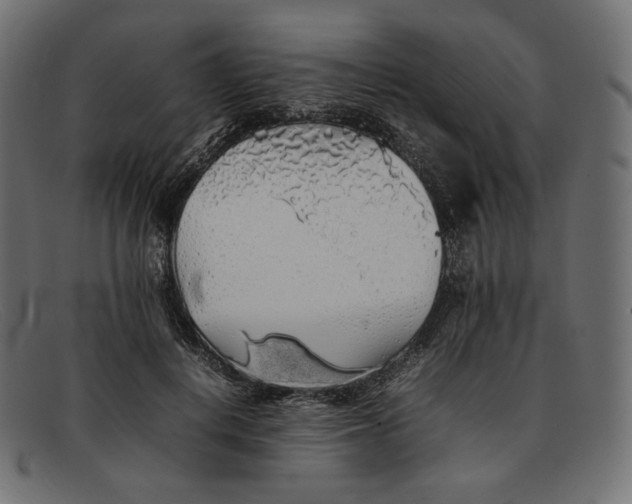 X0000092060648200710101034