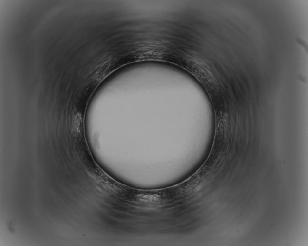 X0000092060649200710101034