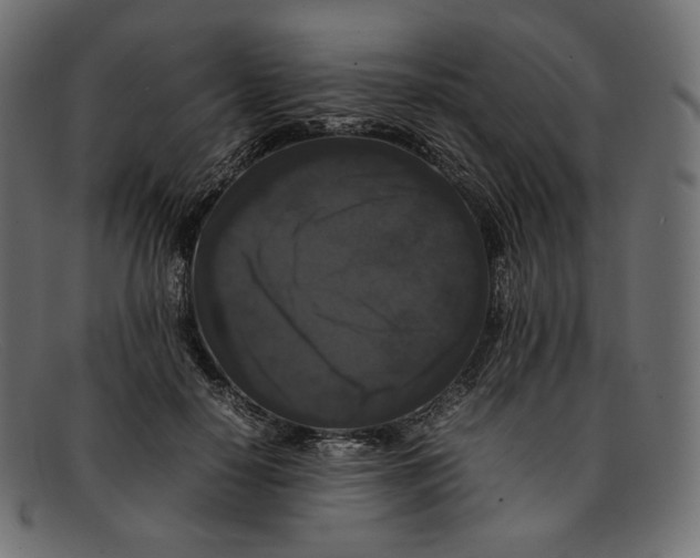 X0000092060650200710101034