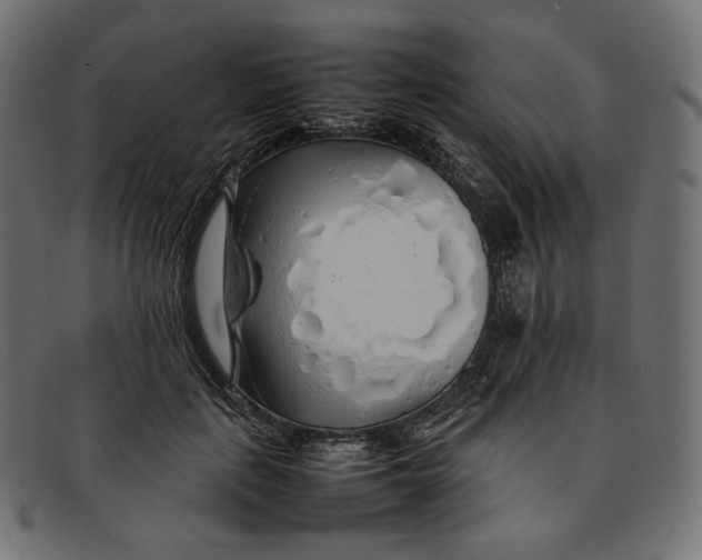 X0000092060651200710101034