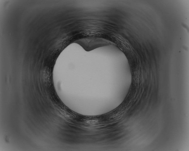 X0000092060653200710101035