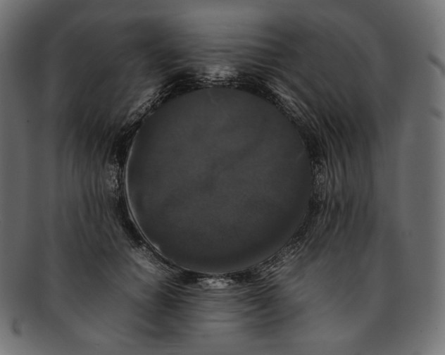 X0000092060654200710101035