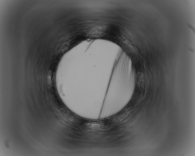 X0000092060655200710101035