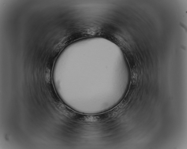 X0000092060656200710101035