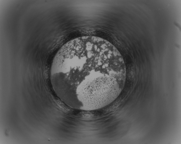 X0000092060658200710101035