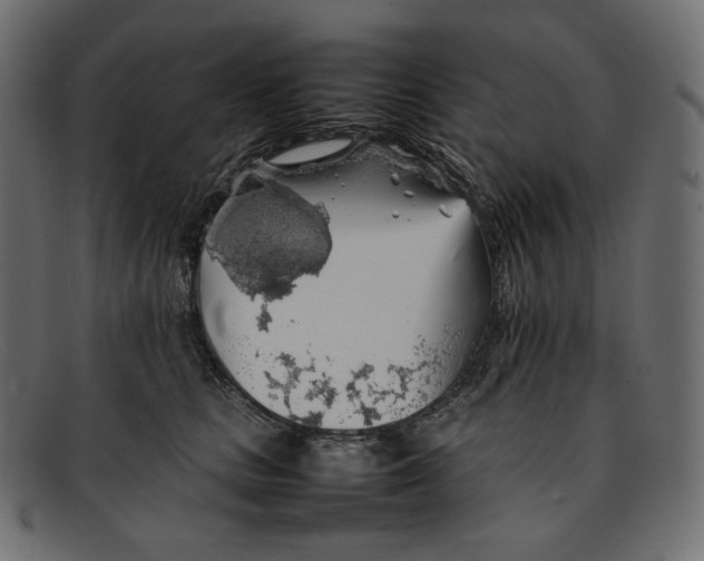 X0000092060661200710101035