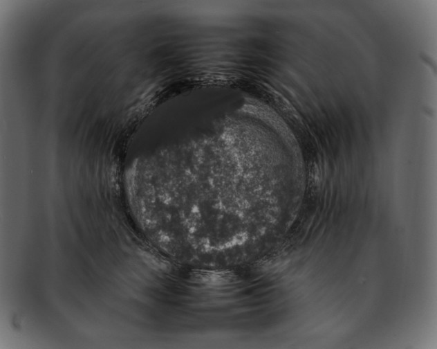 X0000092060663200710101035