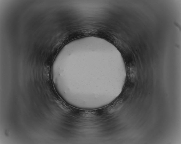 X0000092060664200710101035