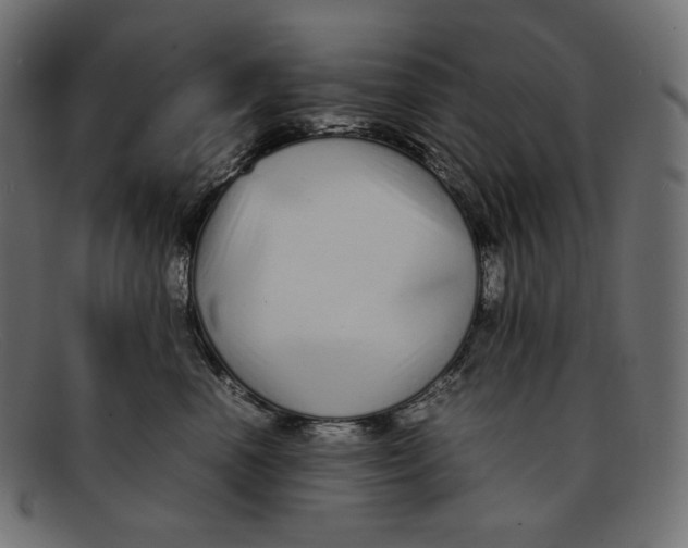 X0000092060666200710101035