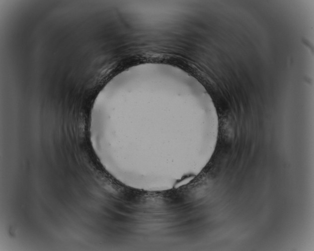 X0000092060668200710101035