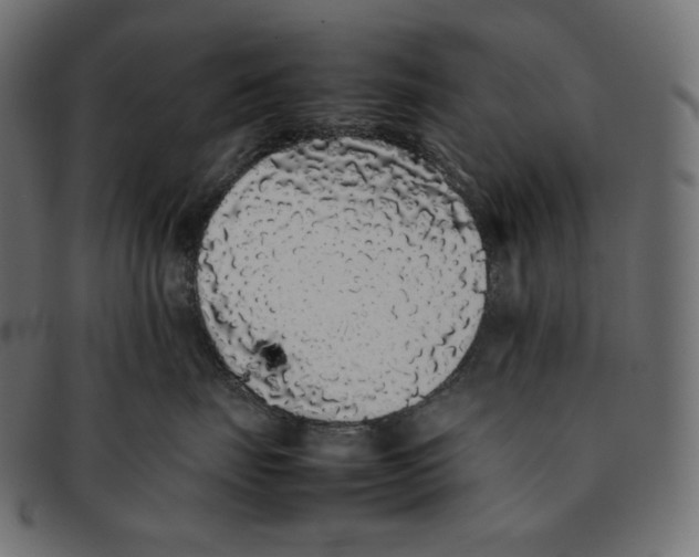 X0000092060671200710101035