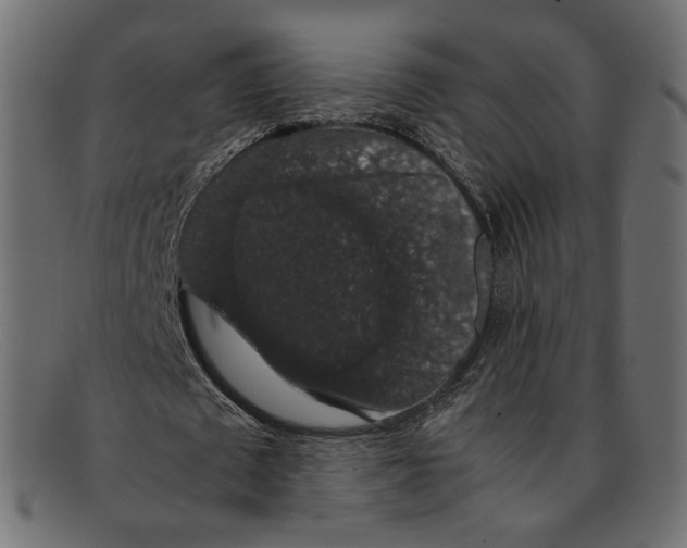 X0000092060673200710101034