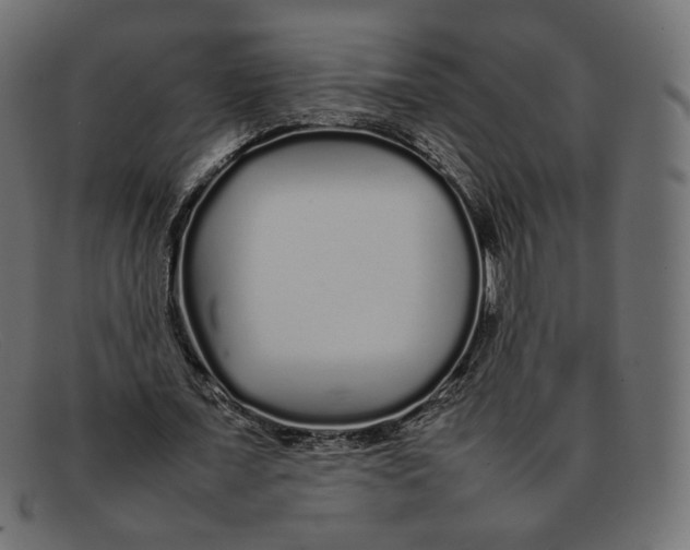 X0000092060675200710101034