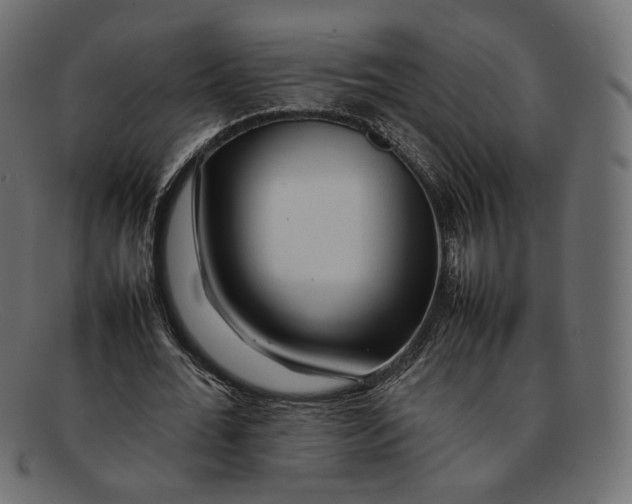 X0000092060676200710101034