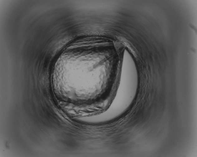 X0000092060677200710101034