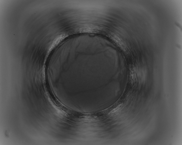 X0000092060678200710101034