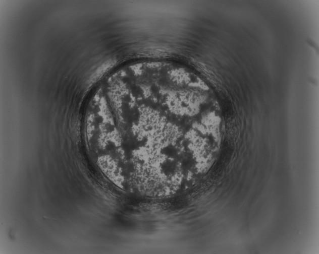 X0000092060679200710101034