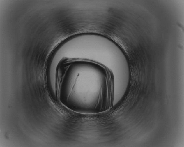 X0000092060680200710101034