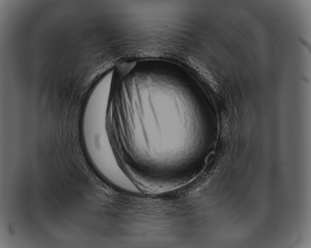 X0000092060681200710101034