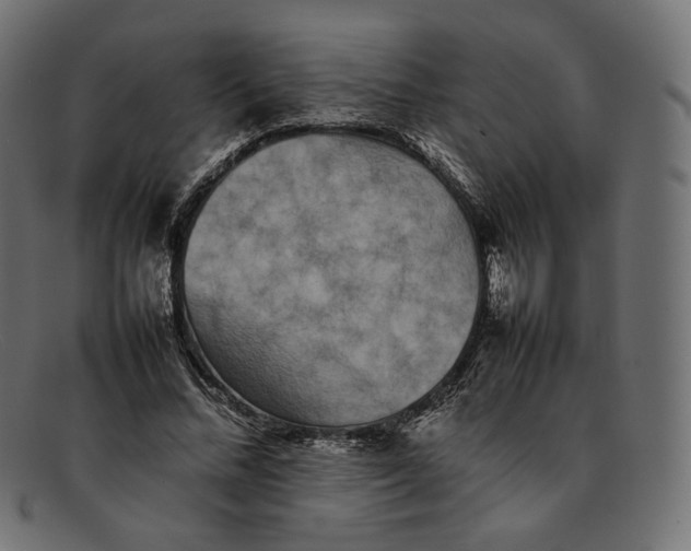 X0000092060684200710101034