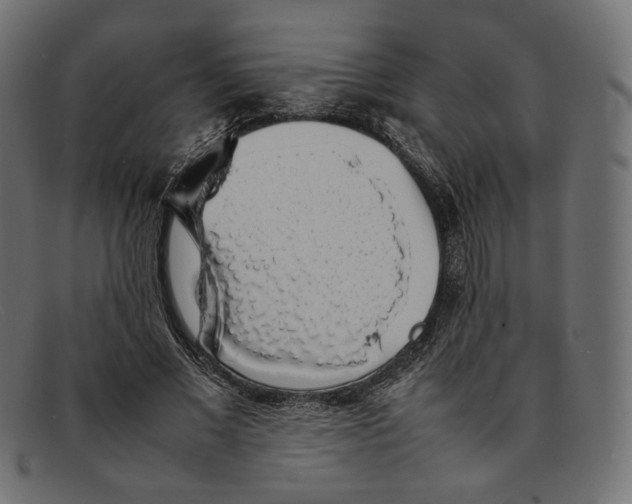 X0000092060685200710101034