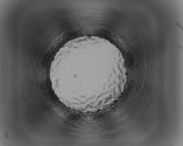 X0000092060687200710101034