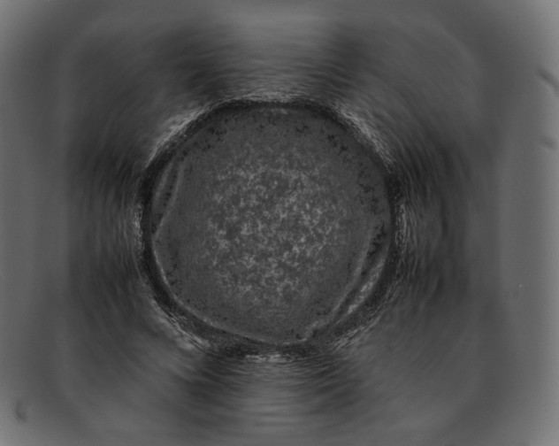 X0000092060688200710101034