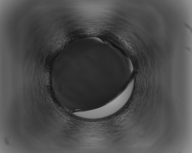 X0000092060689200710101034