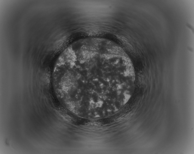 X0000092060691200710101034