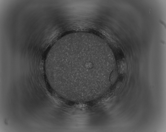 X0000092060695200710101034