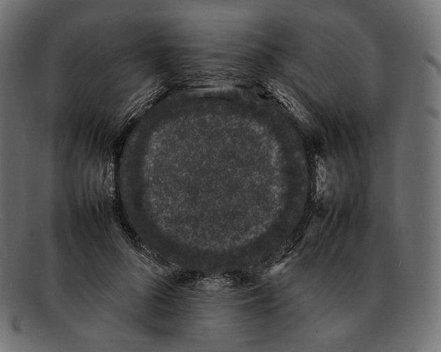 X0000092060696200710101034