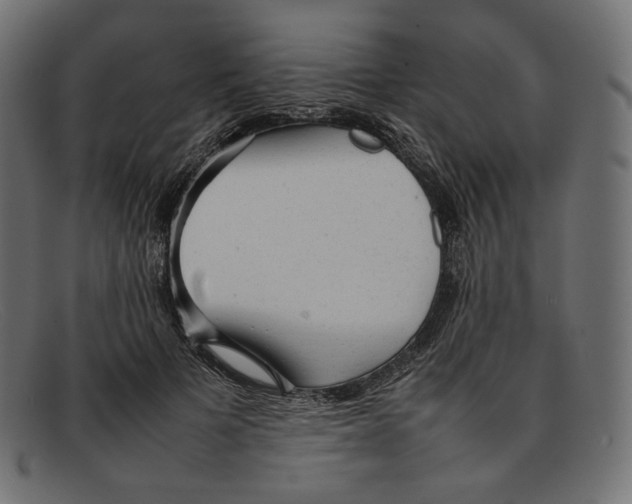 X0000092060697200710101034