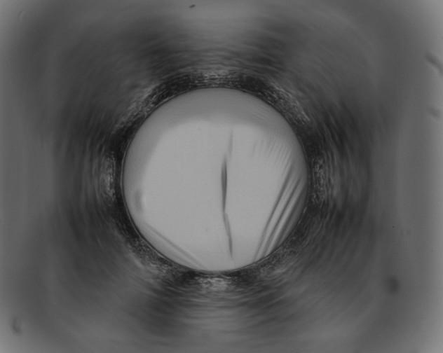 X0000092060698200710101034