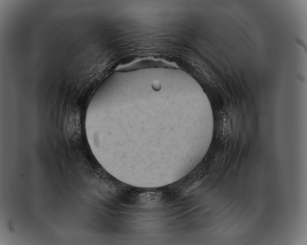 X0000092060700200710101034