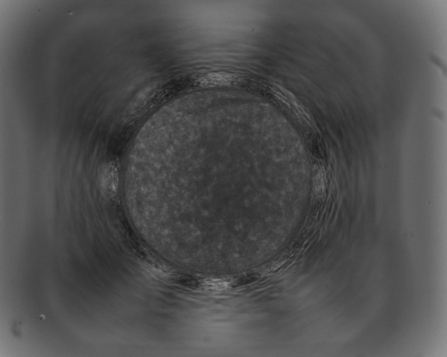 X0000092060701200710101034