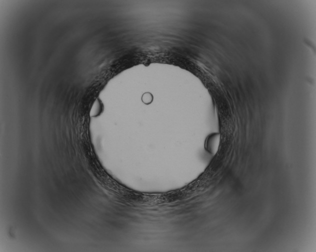 X0000092060703200710101034