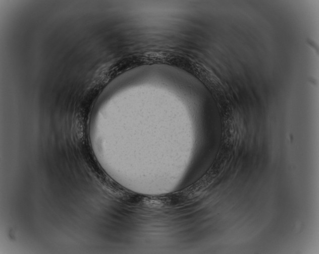 X0000092060706200710101034