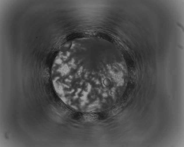 X0000092060707200710101034