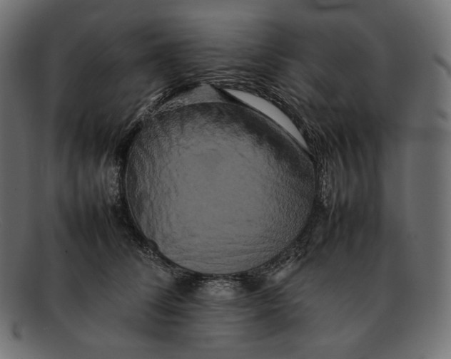 X0000092060708200710101034