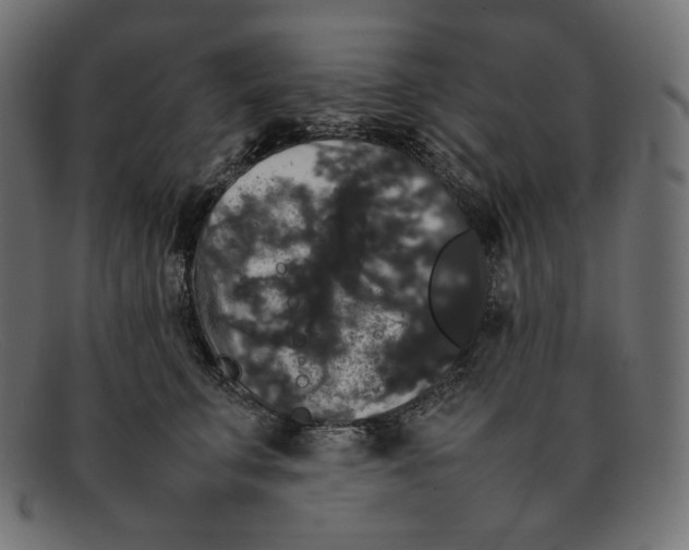 X0000092060711200710101034